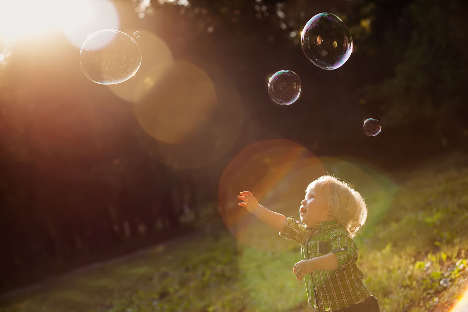 Ark.au Illustrated Bible - Matthew 18:4 - Whoever therefore humbles himself as this little child, the same is the greatest in the Kingdom of Heaven.