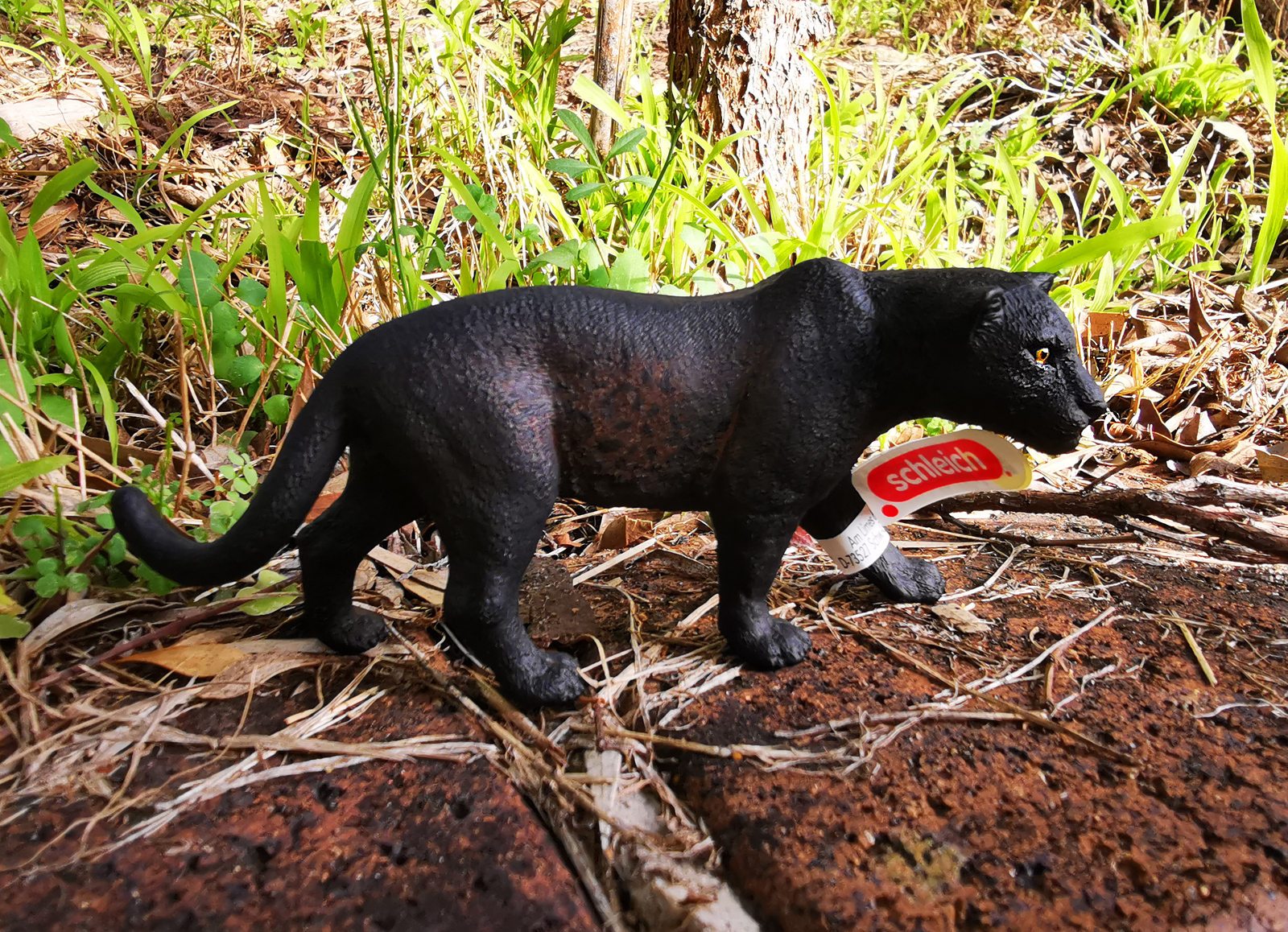Blue Mountains Panther - Panthera caerulea - Ark.au